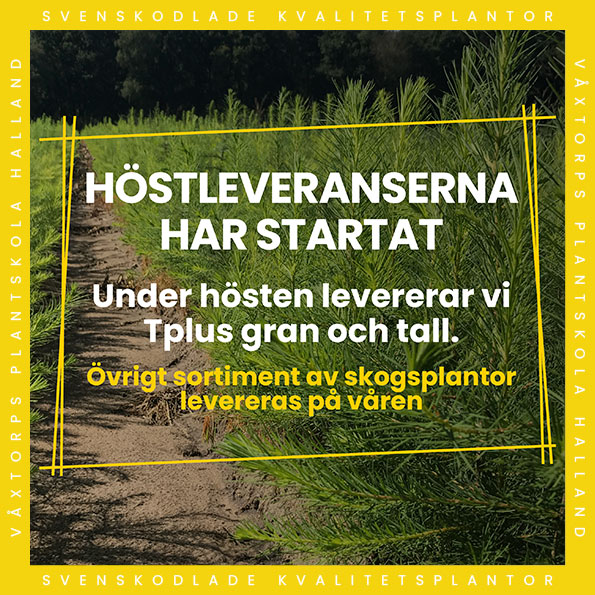 Popup våxtorps plantskola